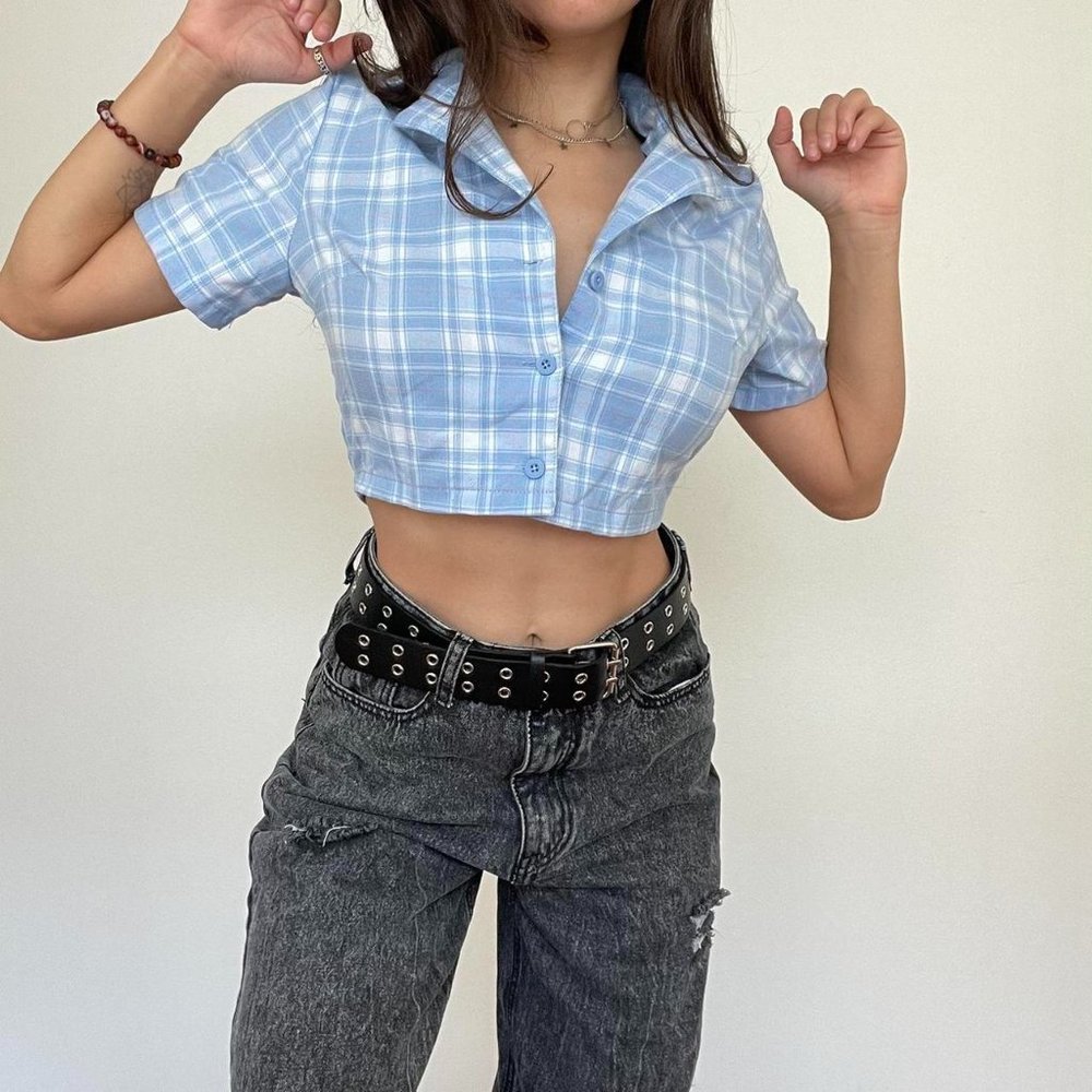 BRANDY MELVILLE BABY BLUE BUTTON UP CROP TOP